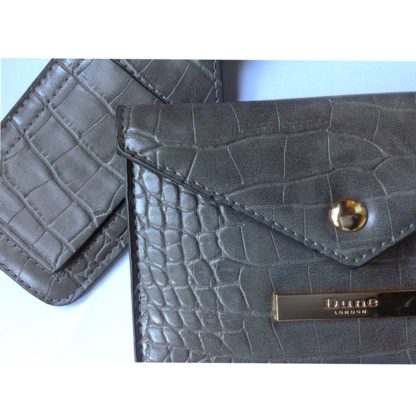 DUNE Grey Mock Croc Luggage Tag & Document Purse
